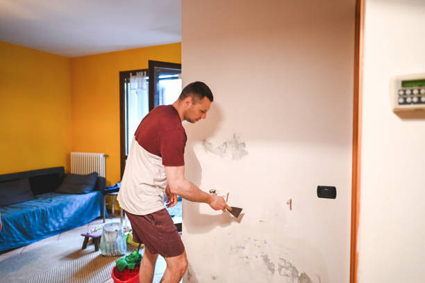 Best Residential Mold Remediation in Anoka, MN