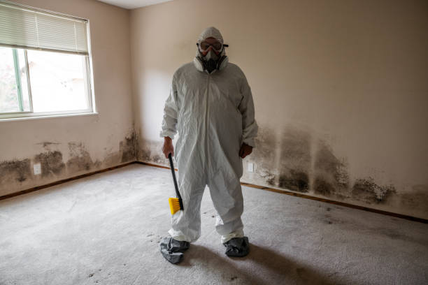 Best Mold Remediation for Specific Building Types in Anoka, MN